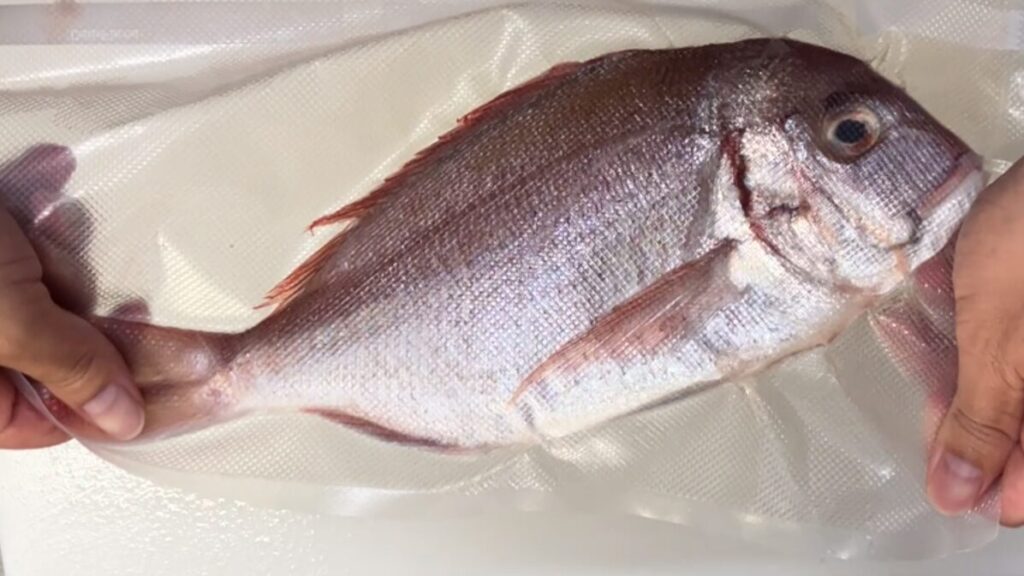真空パックされた魚の写真