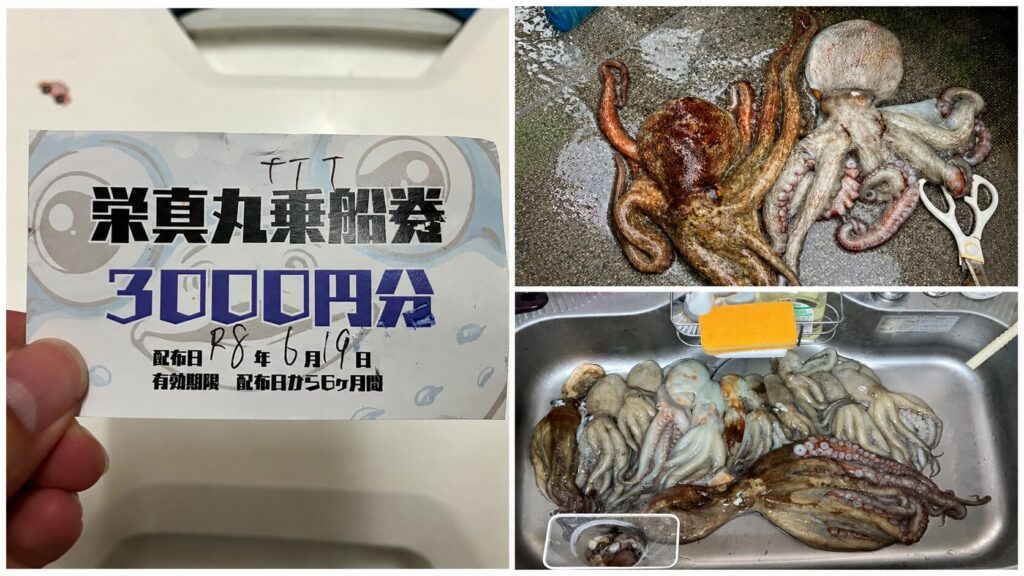 最終的に釣り上げたタコの写真