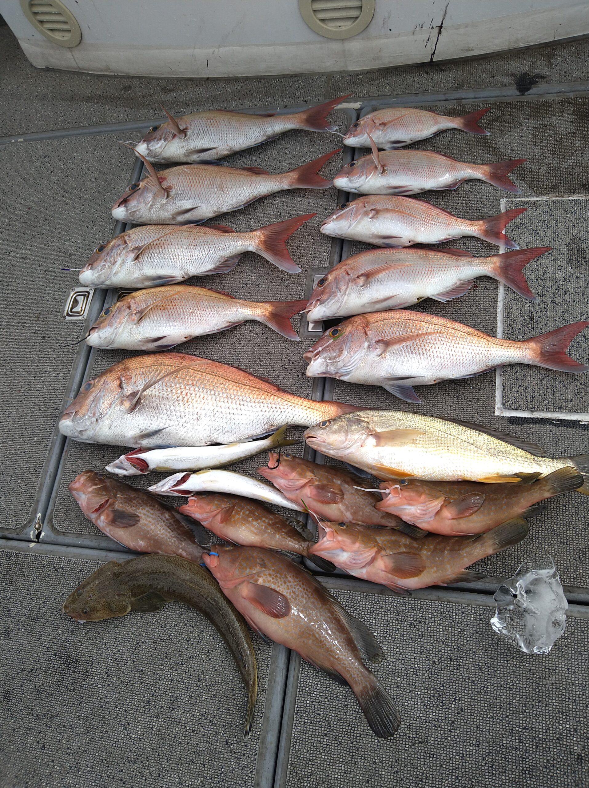 【初心者さまガイド】船のタイラバ入門（真鯛） | 釣って食べるための仕掛け・誘い方・釣れない時の考え方