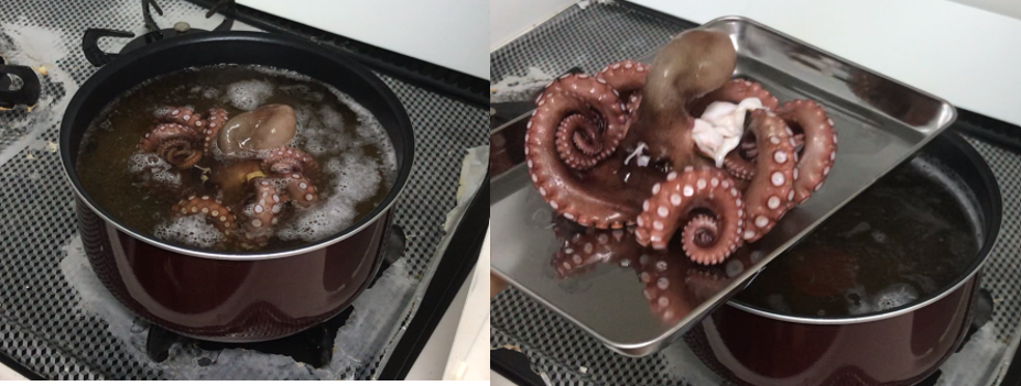 タコを下茹でした写真